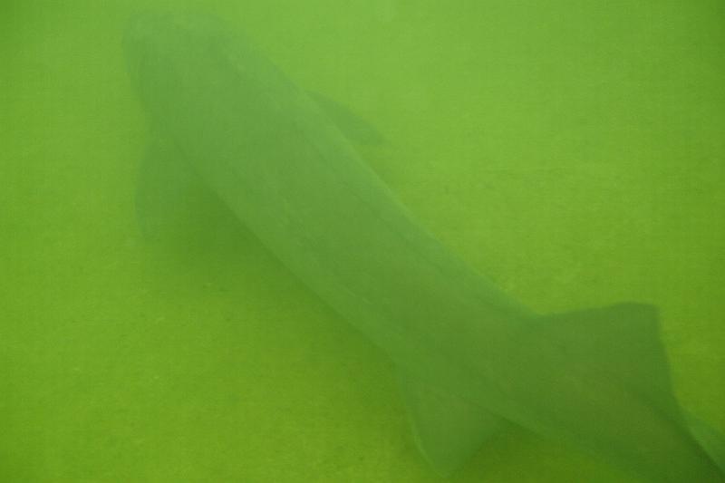 07 D 006.JPG